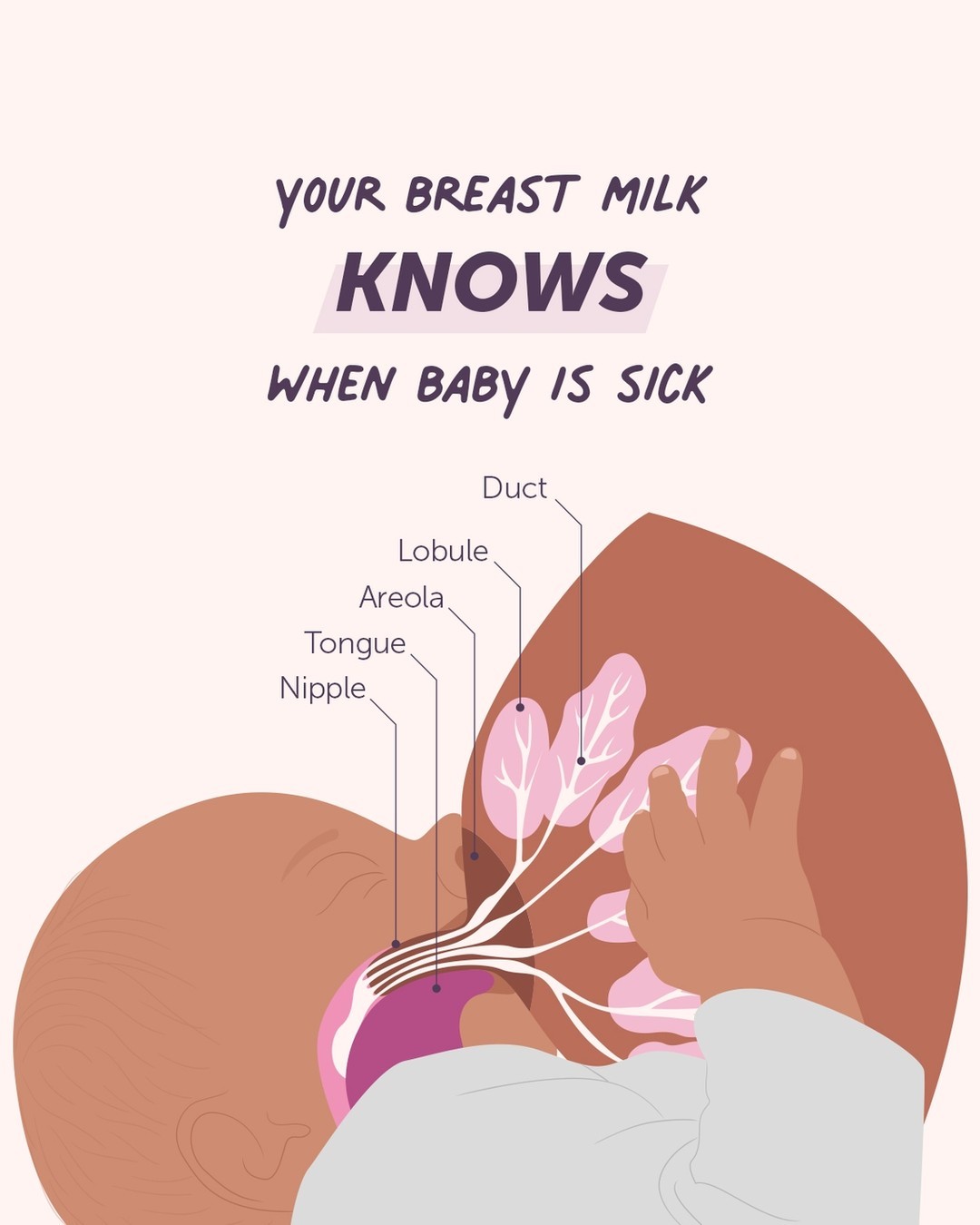 Content Strategy — Elvie